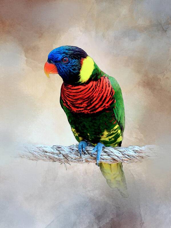 Bird Art Print featuring the mixed media Multicolor Bird 87 by Lucie Dumas