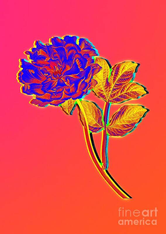Neon Art Print featuring the painting Neon Pink Tree Peony Botanical Art n.0352 by Holy Rock Design