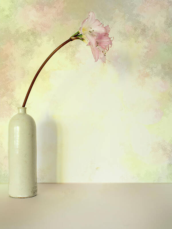 Flower Art Print featuring the photograph Pink Easter Lily by Elaine Teague