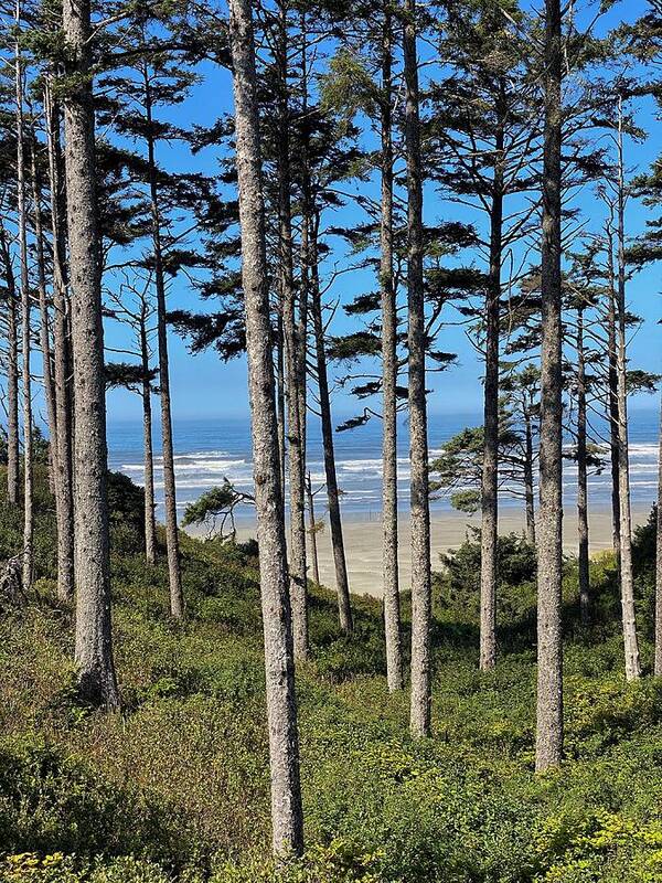 Beach Art Print featuring the photograph Pacific Ocean at Seabrook 2 by Jerry Abbott