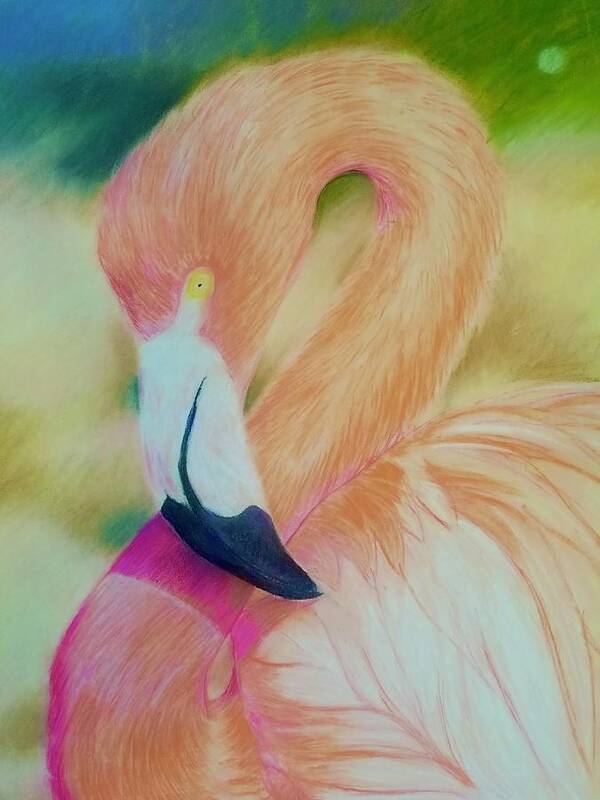 Bird Art Print featuring the pastel Pink Flamingo Portrait by Joe Roache