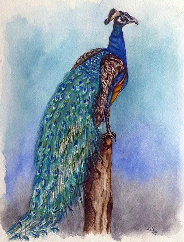 Peacock Art Print featuring the painting Proud Peacock by Kelly Mills