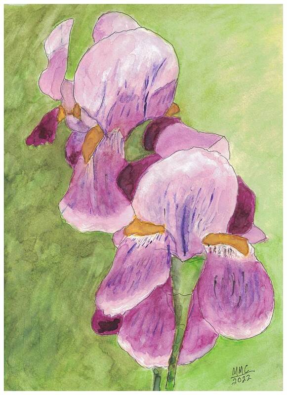 Iris Art Print featuring the painting Purple Iris by Mary M Collins