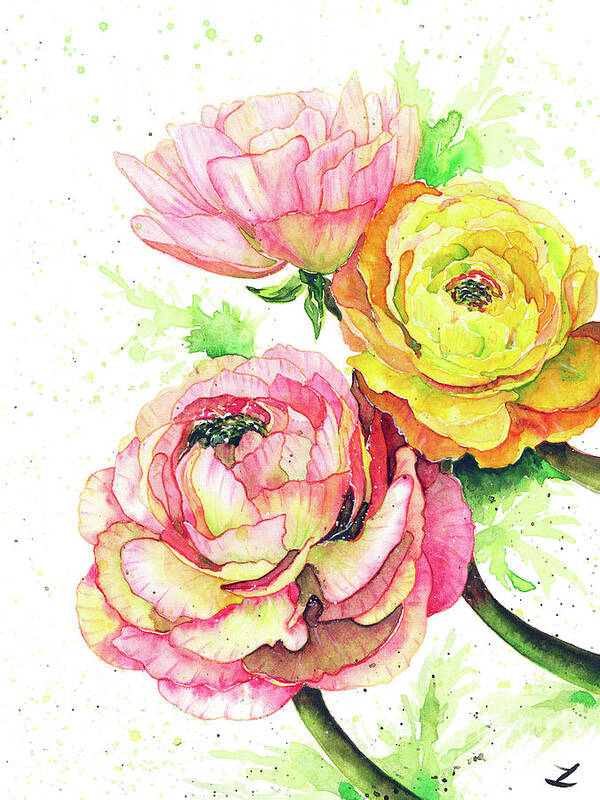 Ranunculus Art Print featuring the painting Ranunculus Flowers by Zaira Dzhaubaeva