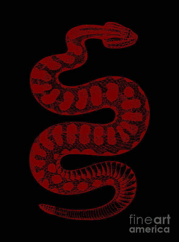 Rattle Snake Massasauga Snake Art Print by Beltschazar - Fine Art America