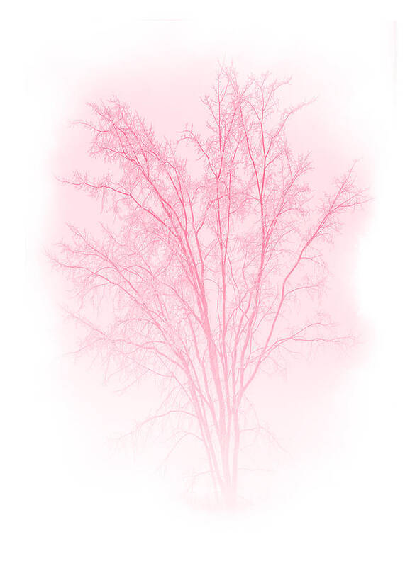 Tree Art Print featuring the mixed media Red by Moira Law