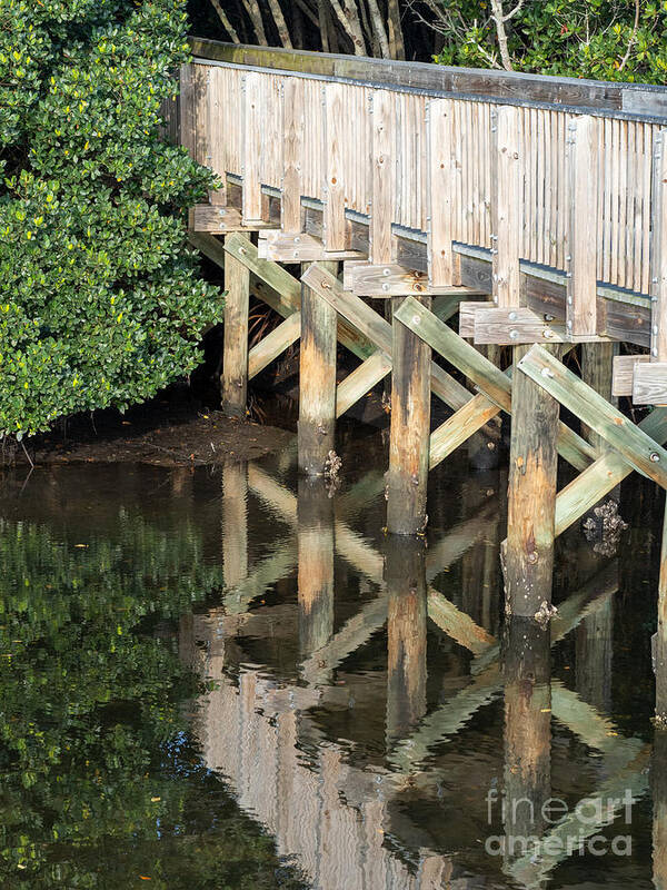 Weedon Art Print featuring the photograph Reflection of the Boardwalk at Weedon Island Preserve by L Bosco