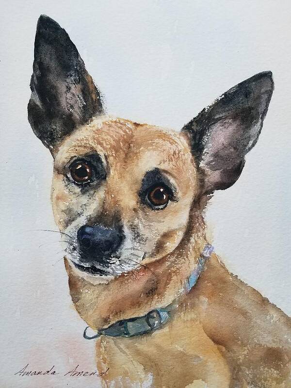 Pet Portraits Art Print featuring the painting Rocky by Amanda Amend