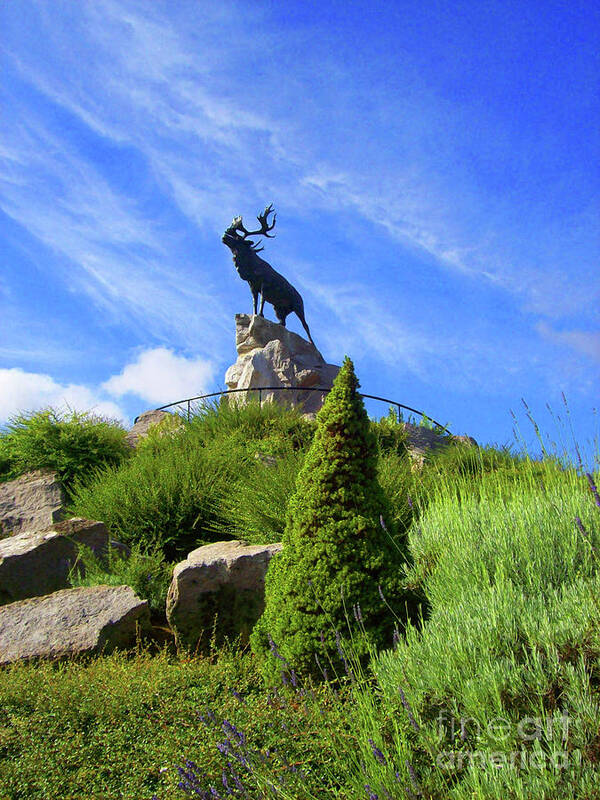 Monument Art Print featuring the photograph Royal Newfoundland Regiment by Mary Mikawoz