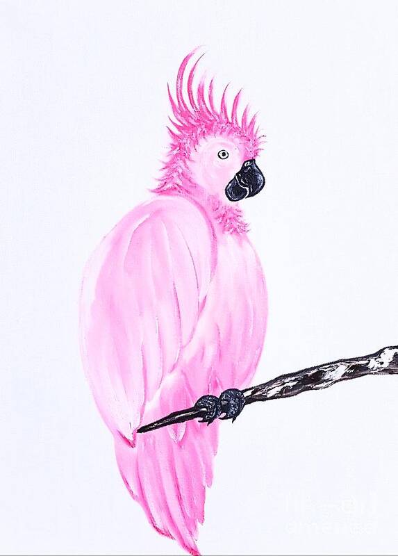 Parrot Art Print featuring the painting Ruby the parrot pink by Angela Whitehouse