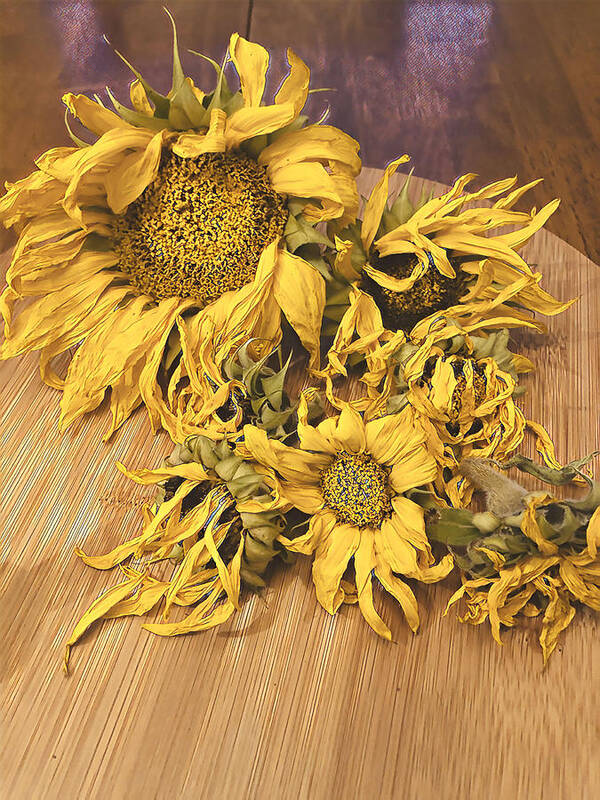 Sunflowers Art Print featuring the digital art Seasons End by Juliette Becker