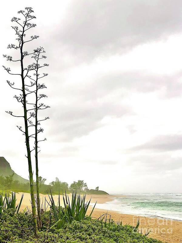 Hawaii Beach Art Print featuring the photograph Sentinels By The Sea by Carol Riddle