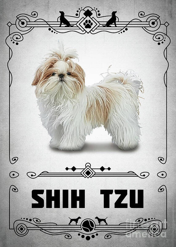 Dog Dogs Art Print featuring the digital art Shih Tzu by Bo Kev