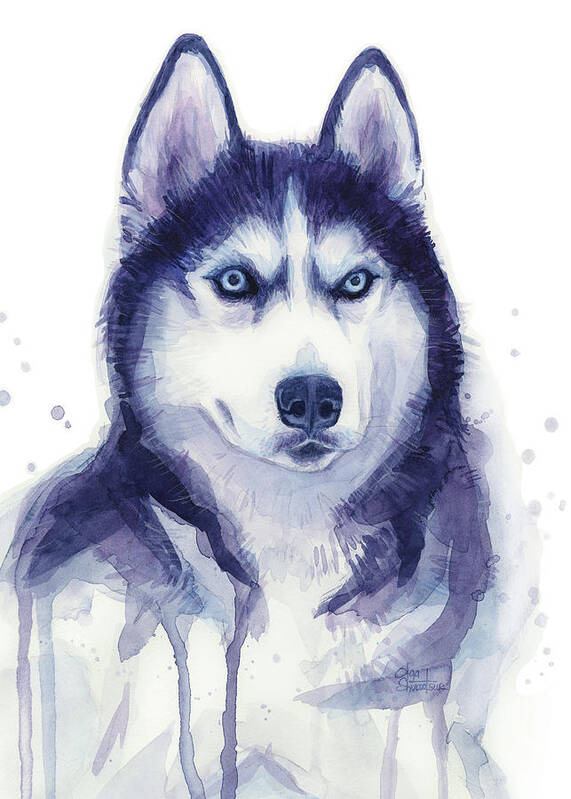 Husky Art Art Print featuring the painting Siberian Husky Watercolor by Olga Shvartsur