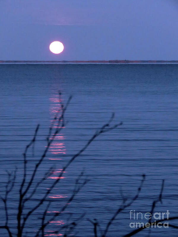 Canada Art Print featuring the photograph Silent Moon Over Water by Mary Mikawoz