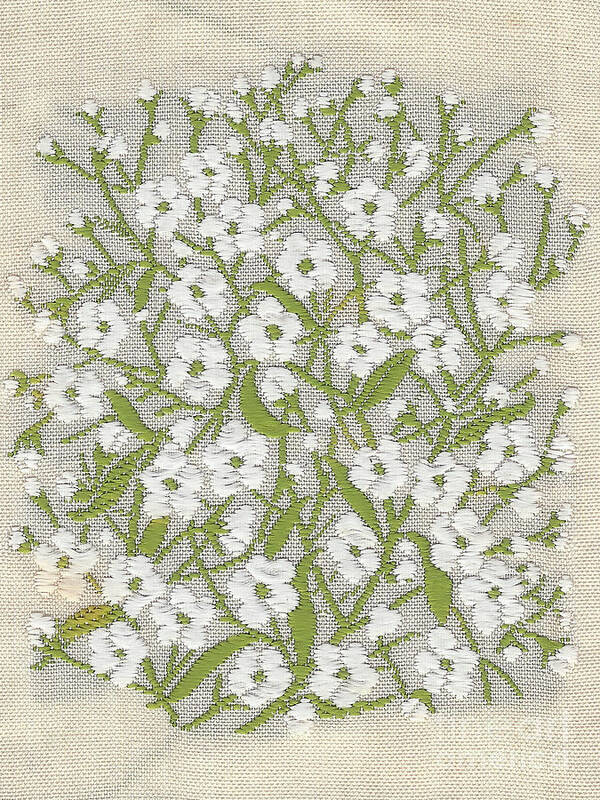  Silk Art Print featuring the photograph Silk Gypsophila by Elaine Teague