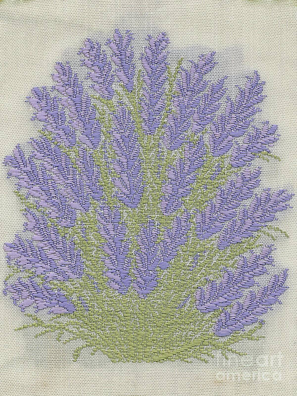  Silk Art Print featuring the photograph Silk Lavender by Elaine Teague