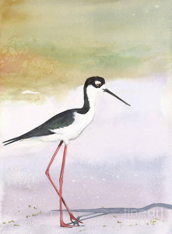 Bird Black Necked Stilt Art Print featuring the painting Skinny Legs by Vicki B Littell