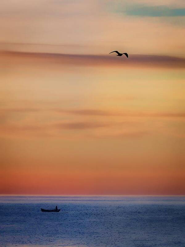 Photographs Art Print featuring the photograph Skittle and Gull at Sunrise by John A Rodriguez