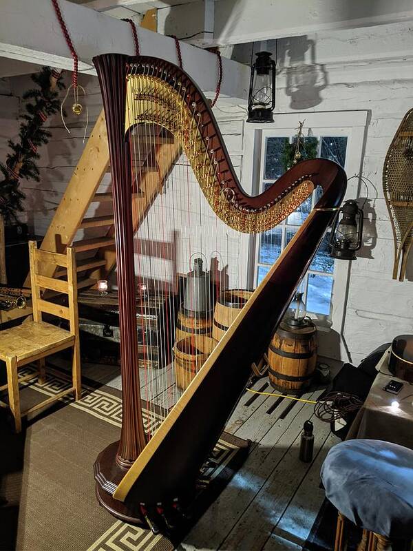 Harp Art Print featuring the photograph Solstice harp by Lisa Mutch