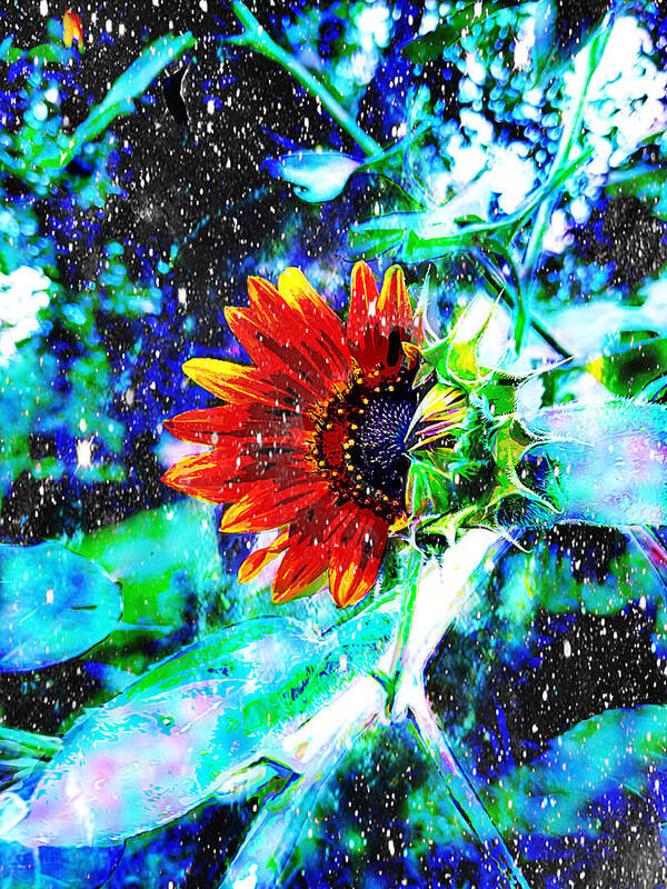 Sunflower With Stars Art Print featuring the digital art Starry Skies Sunflower by Pamela Smale Williams