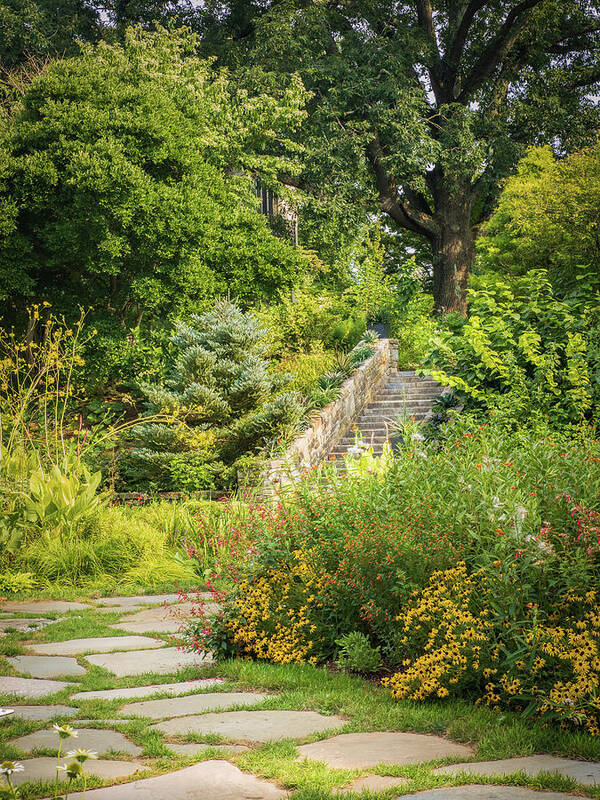 Architecture Art Print featuring the photograph Stone Stairs in the Garden by Kristia Adams