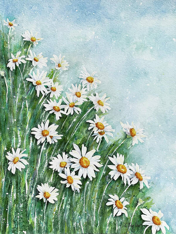 Daisies Art Print featuring the painting Summer Breeze by Lori Taylor