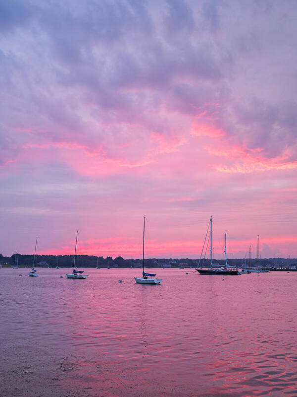 Pink Art Print featuring the photograph Summer Sailboats Stonington by Marianne Campolongo