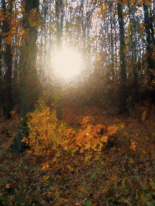 Autumn Forest Art Print featuring the mixed media Sun in the Autumn Forest by Alex Mir