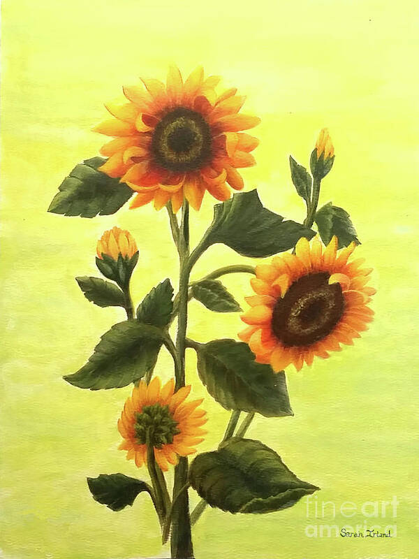 Portrait Art Print featuring the painting Sunflowers by Sarah Irland