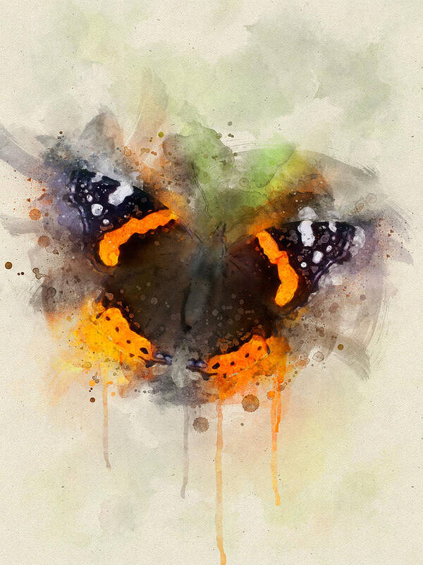Butterfly Art Print featuring the digital art The Admiral by Geir Rosset