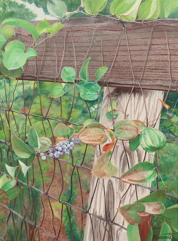 Leaves Art Print featuring the painting The wild leaves on the fence by Barbara Barber