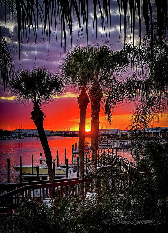 Sunrise Art Print featuring the photograph Three Palms River Sunrise by Stacey Sather
