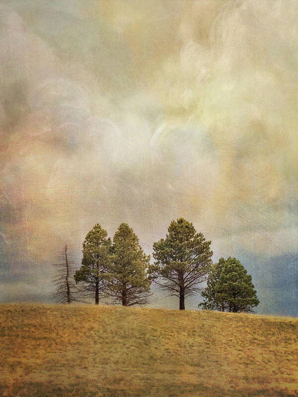 Trees Art Print featuring the photograph Trees on a Hill Under an Imaginary Sky by Mary Lee Dereske