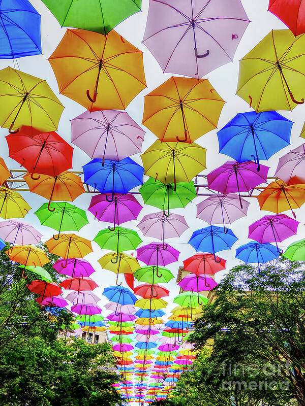 Miami Art Art Print featuring the photograph Umbrellas in the Sky by Carlos Amaro