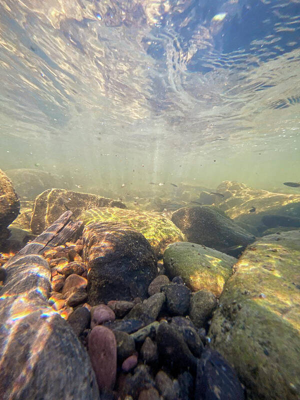 River Art Print featuring the photograph Underwater Scene - Upper Delaware River by Amelia Pearn