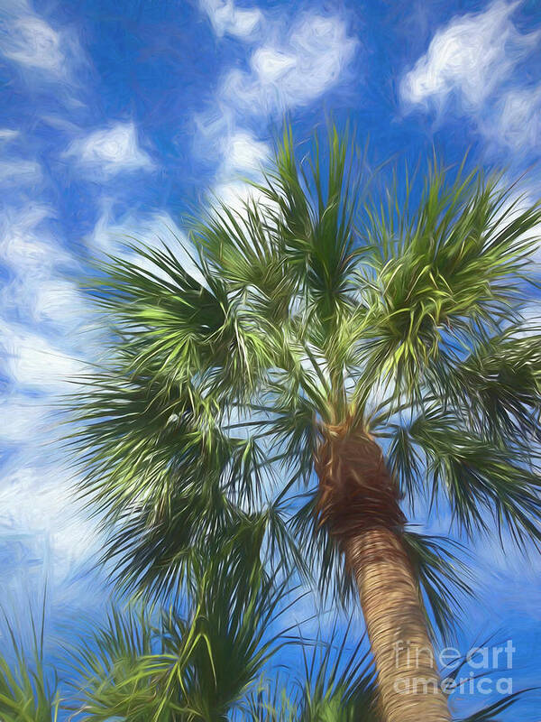 Palm Trees Art Print featuring the photograph Up in the Air by Xine Segalas