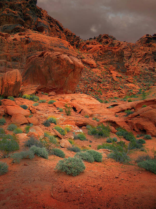 Valley Of Fire Art Print featuring the photograph Valley Of Fire Red Sandstone Cliffs by Frank Wilson