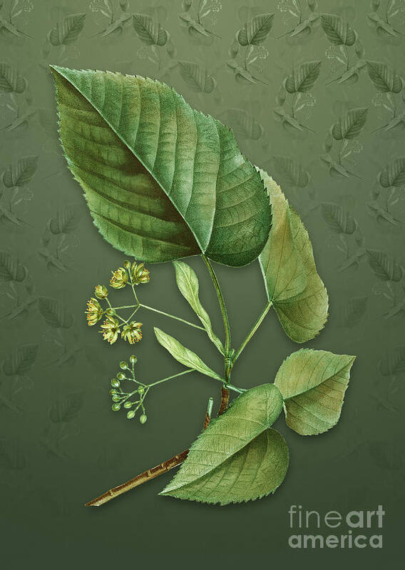 Vintage Art Print featuring the mixed media Vintage Linden Tree Botanical Art on Lunar Green Pattern n.2126 by Holy Rock Design