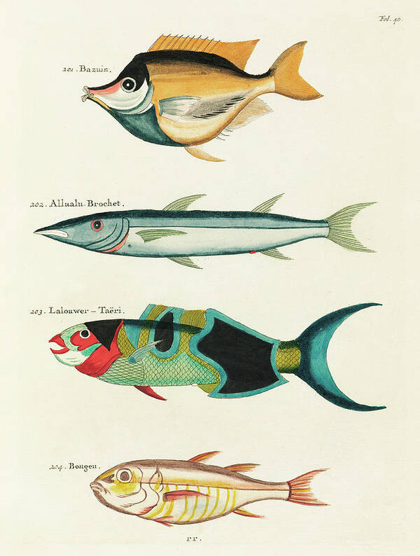 Fish Art Print featuring the digital art Vintage, Whimsical Fish and Marine Life Illustration by Louis Renard - Bazuin, Allualu Brochet by Louis Renard