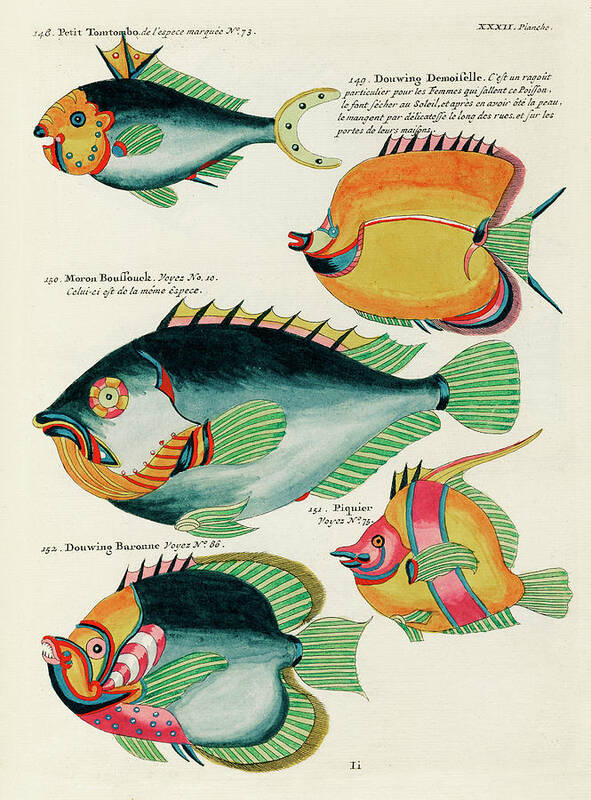 Fish Art Print featuring the digital art Vintage, Whimsical Fish and Marine Life Illustration by Louis Renard - Douwing Demoiselle, Tomtombo by Louis Renard
