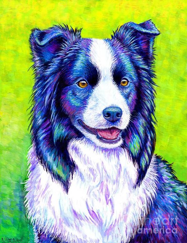 Border Collie Art Print featuring the painting Watchful Eye - Colorful Border Collie Dog by Rebecca Wang