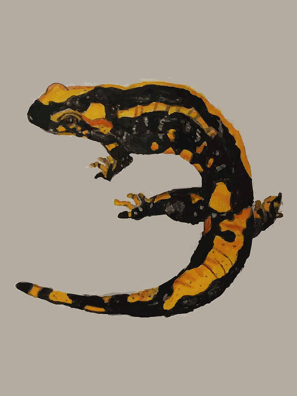 Fire Salamander Art Print featuring the drawing Watercolor drawing of a fire salamander by Mounir Khalfouf