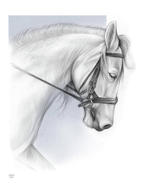 White Art Print featuring the drawing White Horse by Greg Joens