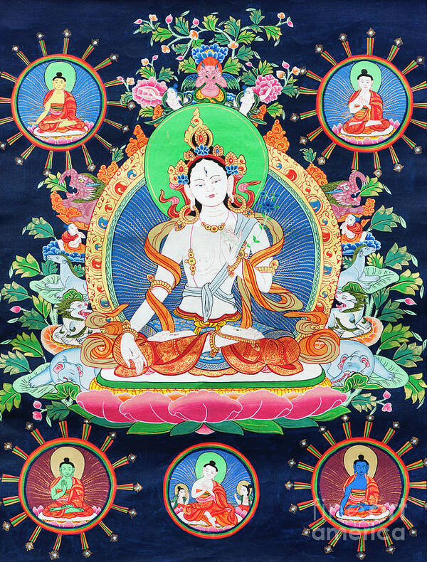 White Tara Art Print featuring the photograph White Tara Buddhist Thangka by Tim Gainey