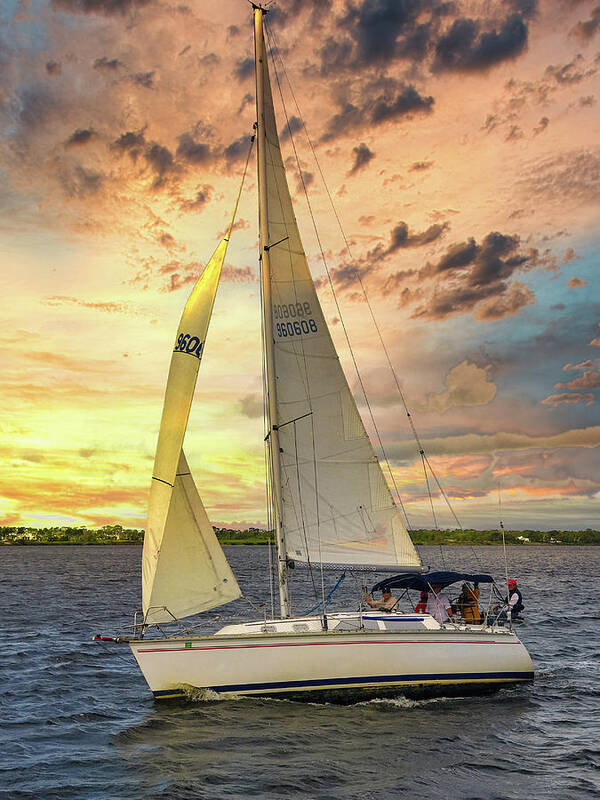 Sunset Sunrise Sailing Water River Art Print featuring the photograph Wild Rice by Jay Seeley