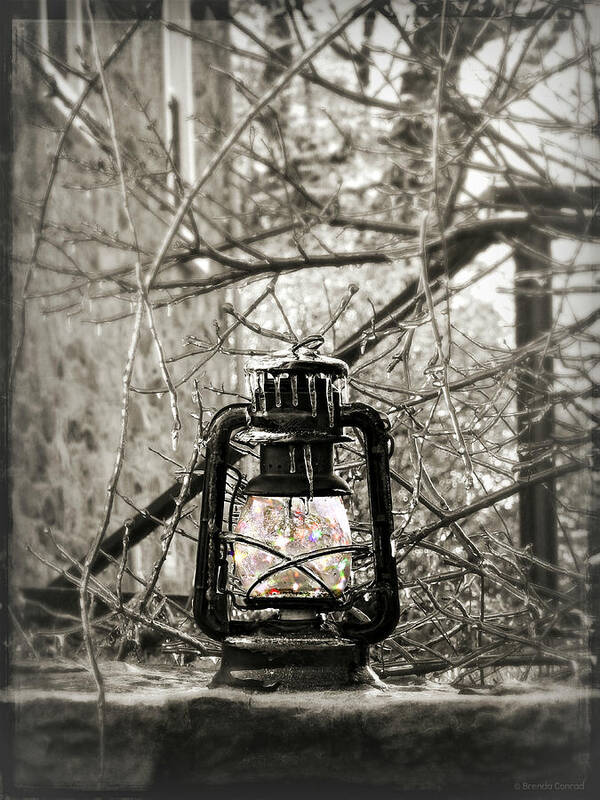 Winter's Magic Art Print featuring the photograph Winter's Magic by Dark Whimsy