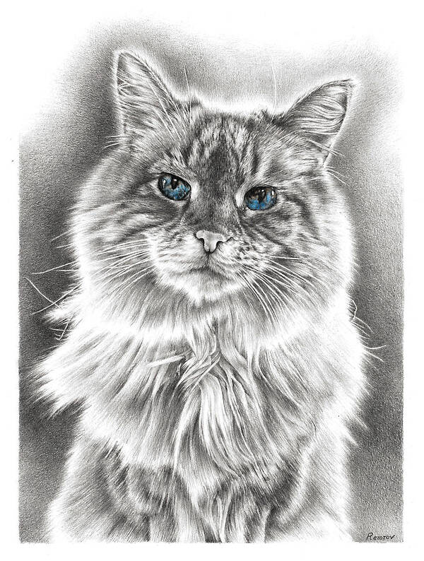 Cat Art Print featuring the drawing Wise Feline by Casey 'Remrov' Vormer