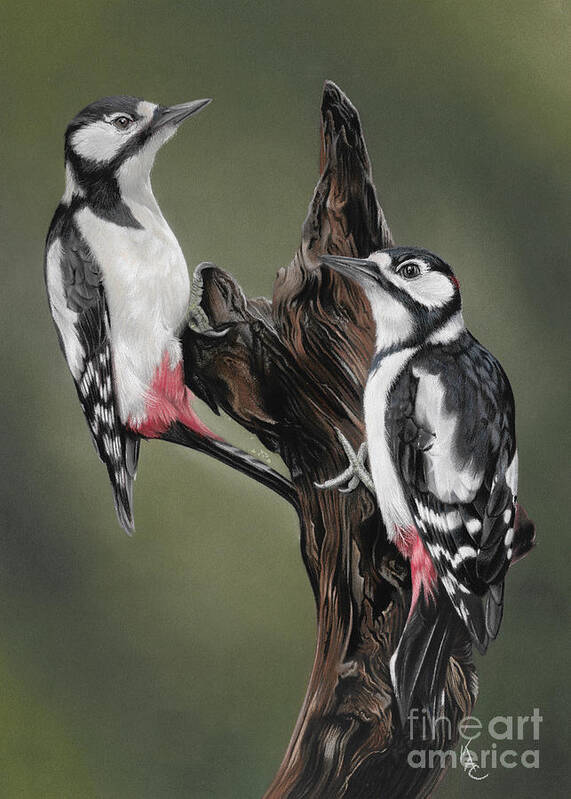 Woodpecker Art Print featuring the painting Woodpeckers by Karie-ann Cooper