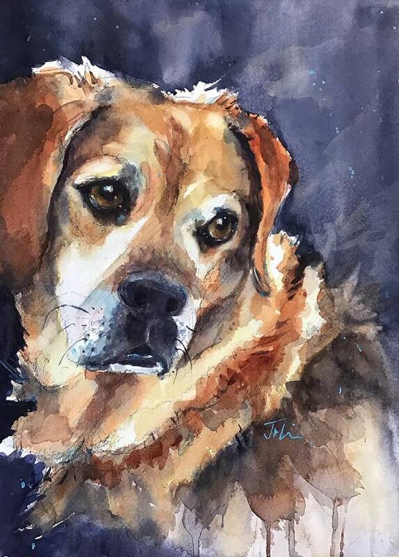 Dog Art Print featuring the painting Zeke by Judith Levins